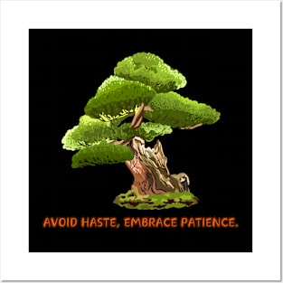 Avoid haste, embrace patience. Posters and Art